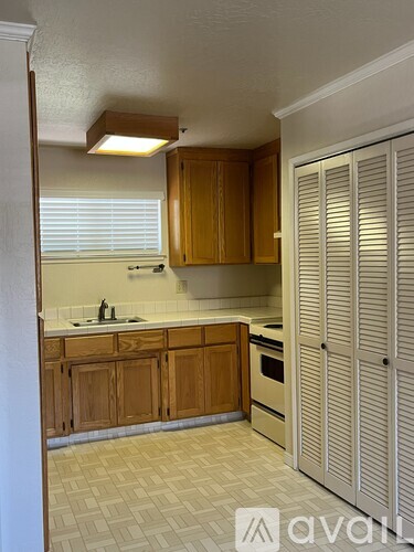 142 Belmont Street Studio Apartment for Rent - Photo gallery 4