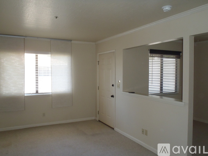 142 Belmont Street Studio Apartment for Rent - Photo gallery 5