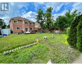 A backyard with a lawn, a fire hydrant, and a fence.