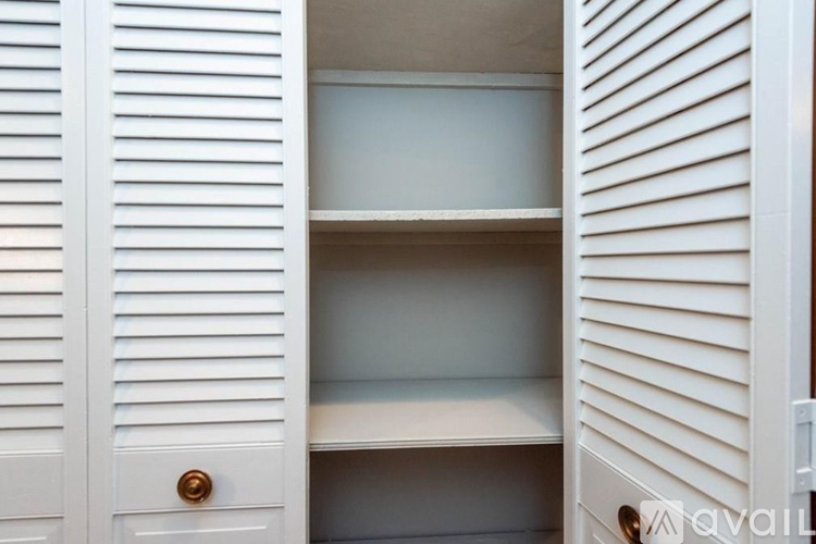 A white shuttered closet with a gold handle.
