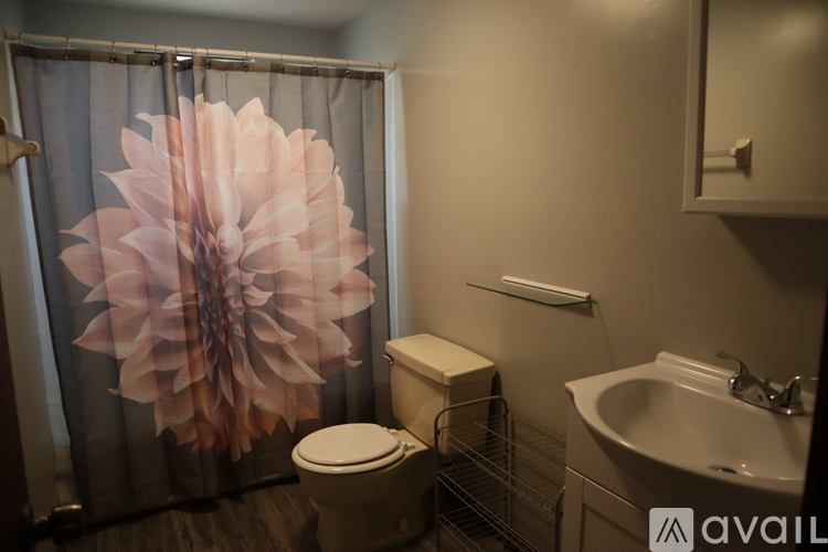 A bathroom with a flower shower curtain and a toilet.