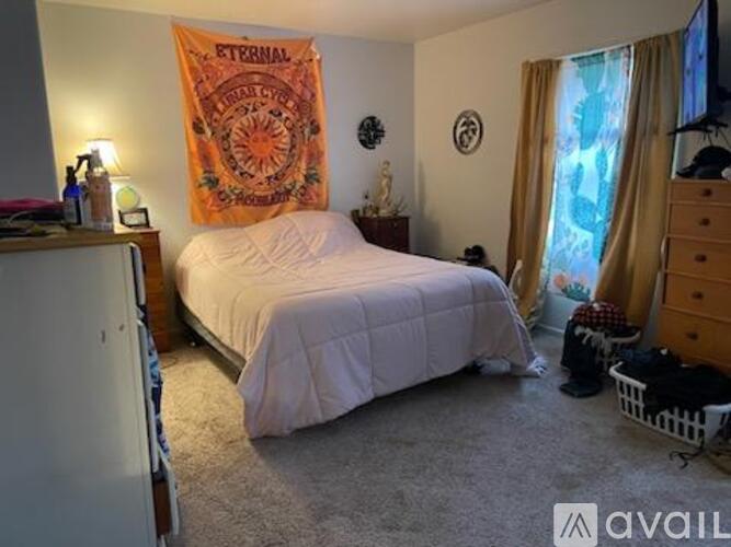 A bedroom with a bed, dresser, and a wall hanging.