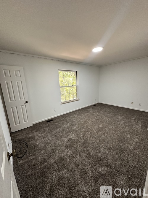A room with a carpeted floor, a door, and a window with a view of trees outside.