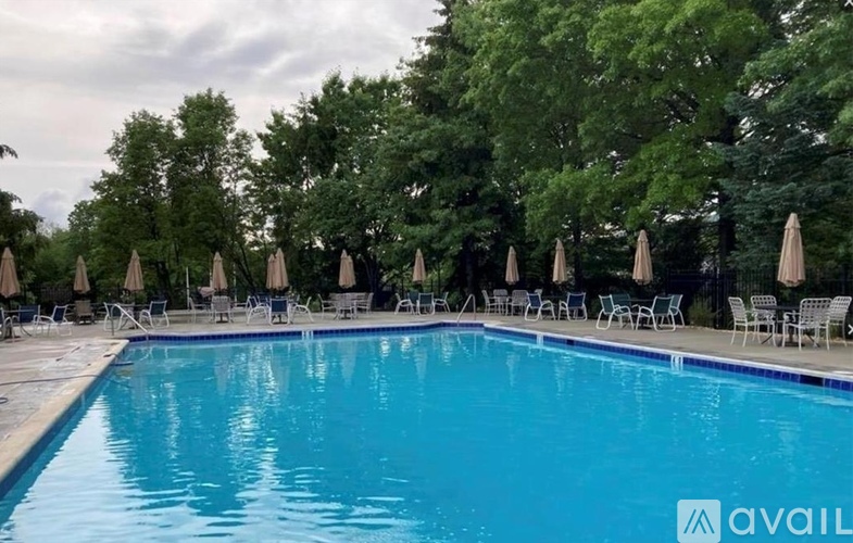 A large swimming pool surrounded by trees and lounge chairs.