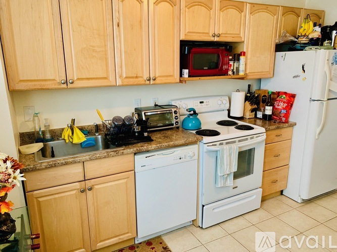 11 Gorham St 1 Apartment for Rent - Photo gallery 2