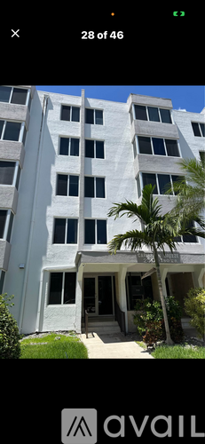 A tall white building with a balcony and a palm tree in front.