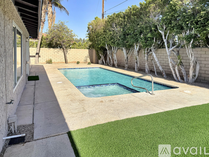 A pool surrounded by a wall of trees.