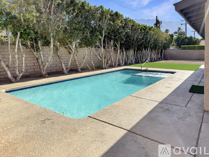 A pool surrounded by a wall of trees.