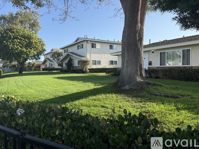 A house with a tree in front of it.
