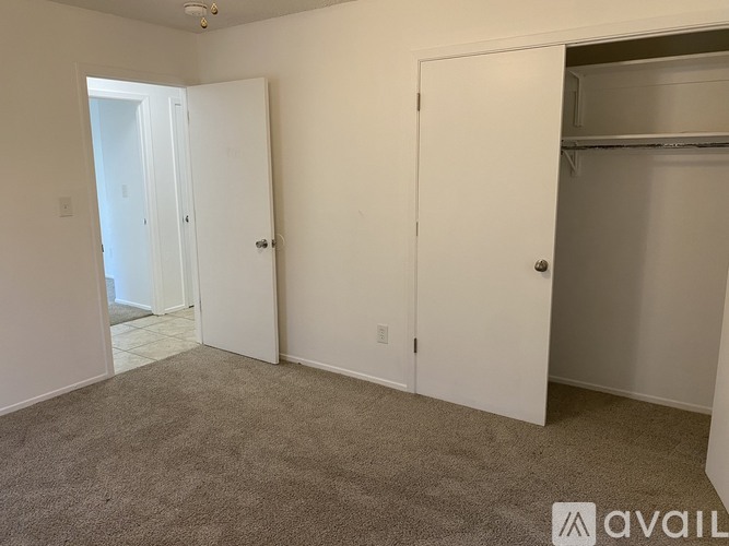 A carpeted room with two doors and a small closet.