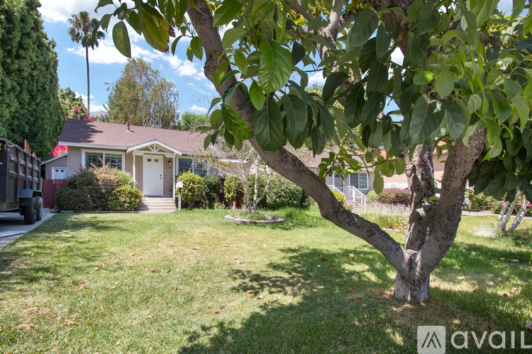 A tree in a yard with a house in the background.