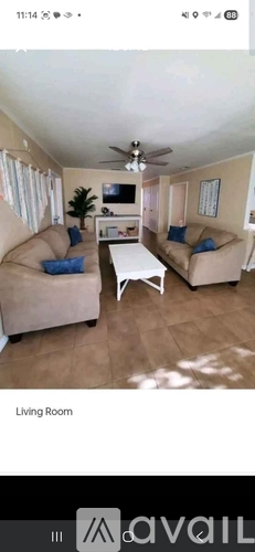 A living room with a ceiling fan and a flat screen TV.