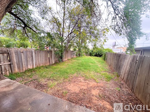 A backyard with a wooden fence and a tree.
