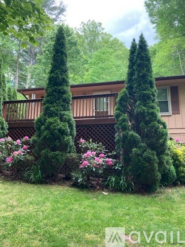 809 Bee Tree Road 3 Beds Apartment for Rent