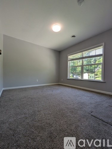 A room with a carpeted floor and a window showing trees outside.