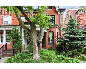 A red brick house with a tree in front.