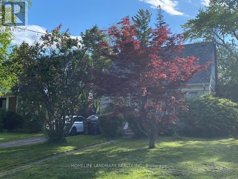 A tree with red leaves is in the foreground of a sunny day.