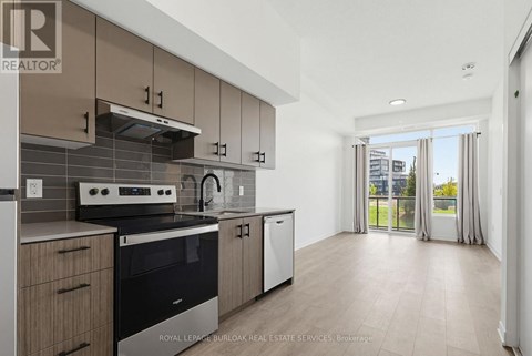 A modern kitchen with a stove top oven and a dishwasher.