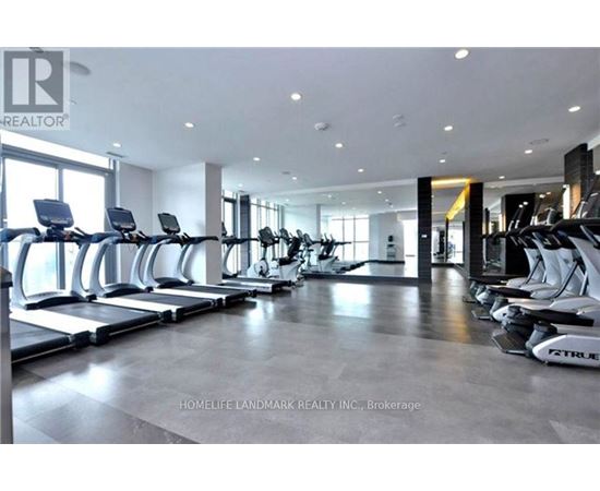 A gym with treadmills and elliptical machines.