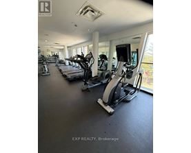 A gym with treadmills and elliptical machines.