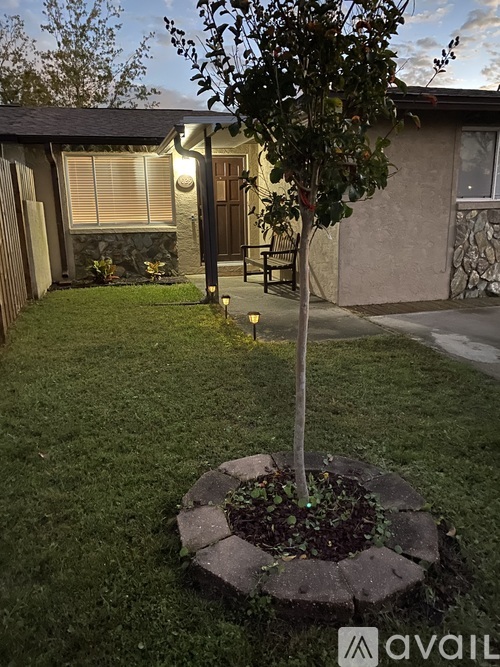 A tree in a stone planter is in front of a house.
