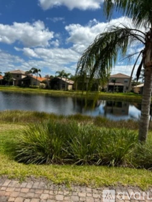 A palm tree stands in front of a house by a lake.