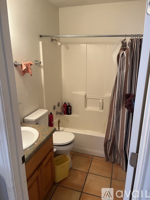 A bathroom with a toilet, sink, and shower.