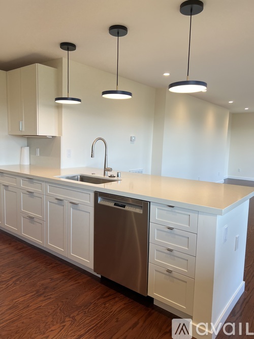 A modern kitchen with a dishwasher and a sink.