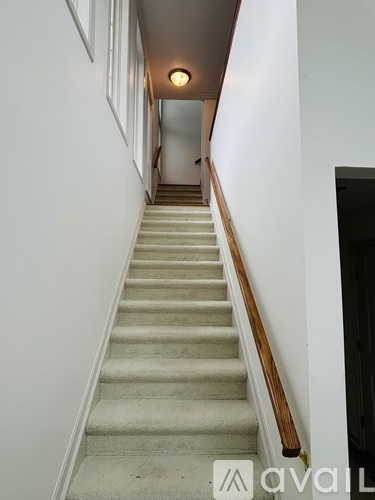 A staircase with a wooden handrail and beige carpeted steps.