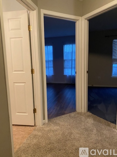 A room with a carpeted floor and a closed door.