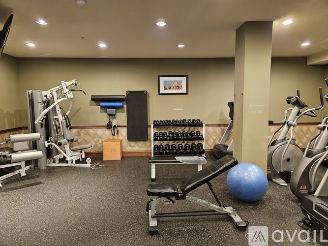A gym with a variety of equipment including a leg press machine, a bench press, a rowing machine, a stationary bike, and a medicine ball.