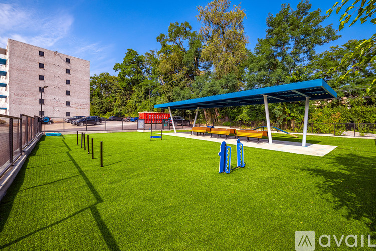 A grassy area with a blue canopy and exercise equipment.