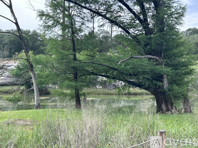 A serene landscape with a pond, trees, and a wooden post in the foreground.