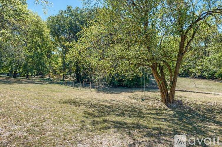 A tree stands alone in a grassy field.