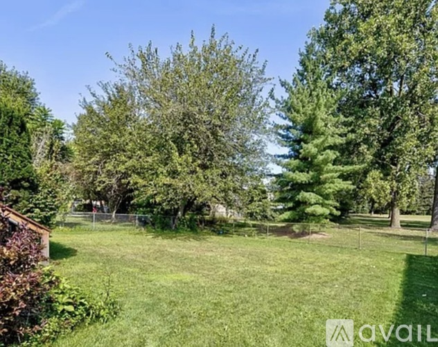 A grassy area with trees and a fence in the background.