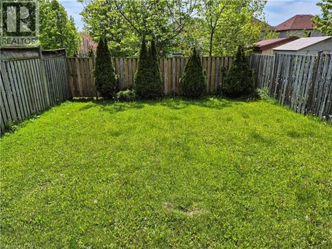 A backyard with a wooden fence and green grass.