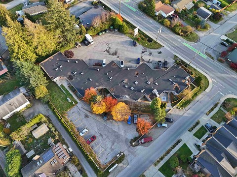 A parking lot surrounded by houses and trees.