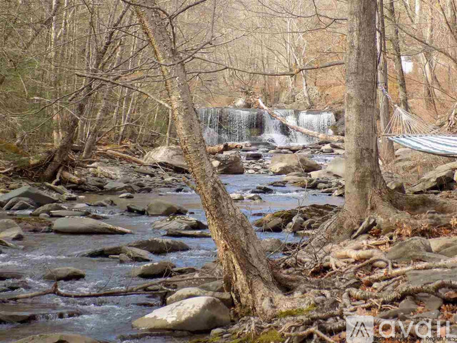 A hammock is hanging between two trees in a rocky riverbed.