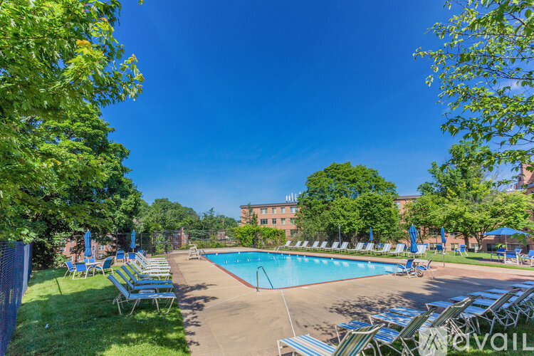 A large swimming pool surrounded by lawn chairs and trees.