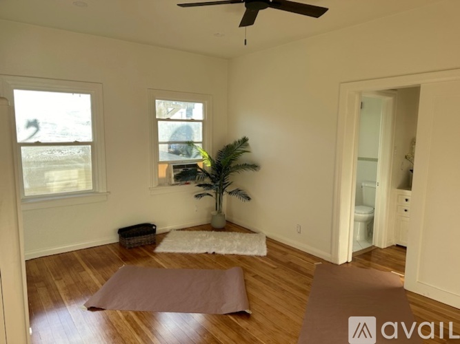 A room with a ceiling fan and a plant on the windowsill.
