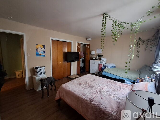 A bedroom with a bed, a dog, and a TV.