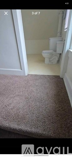 A bathroom with a toilet and a brown rug.