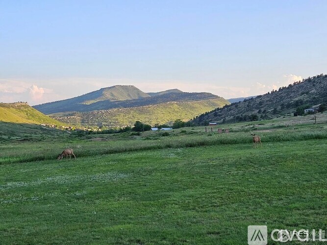 A green field with a mountain in the background and a cow grazing.