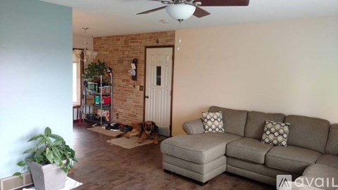 A dog is sitting on a rug in a living room.