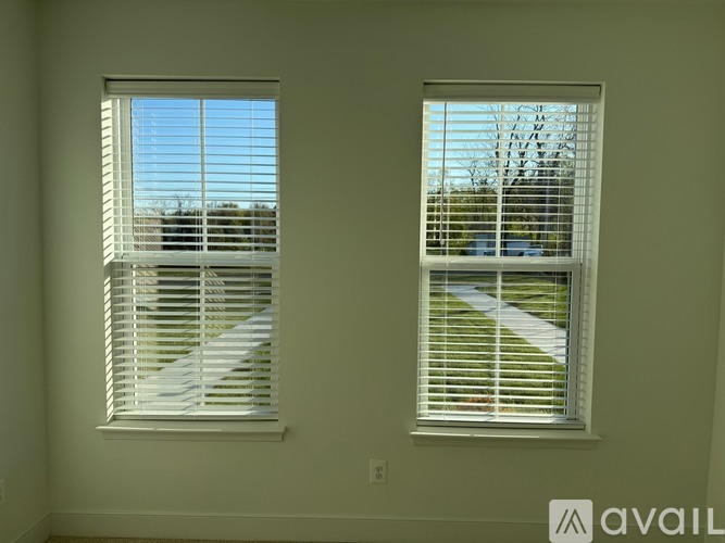 Two windows with white blinds in a room with light green walls.