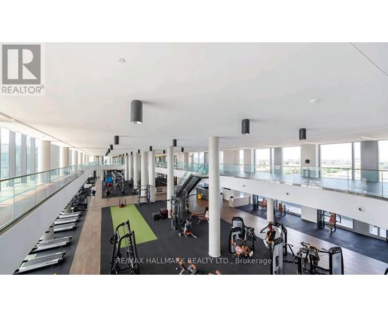A gym with a row of treadmills on the left and a row of exercise bikes on the right.