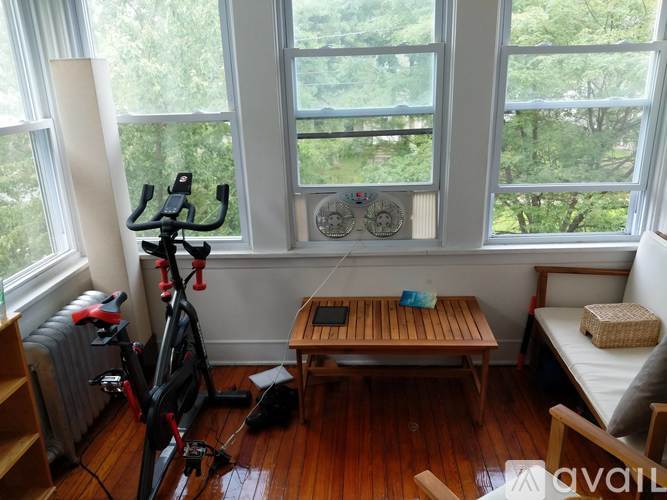 A room with a wooden floor, a sofa, a table, a bicycle, and a window with a view of trees.