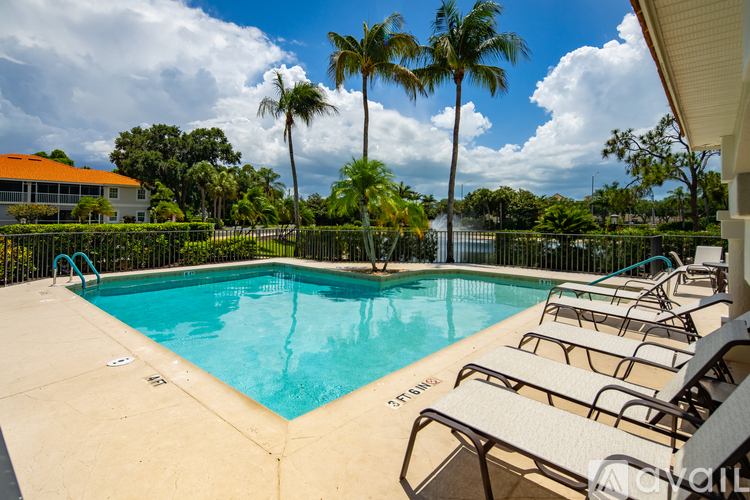 A pool surrounded by chairs and palm trees.