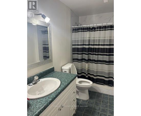 A bathroom with a sink, toilet and shower curtain.