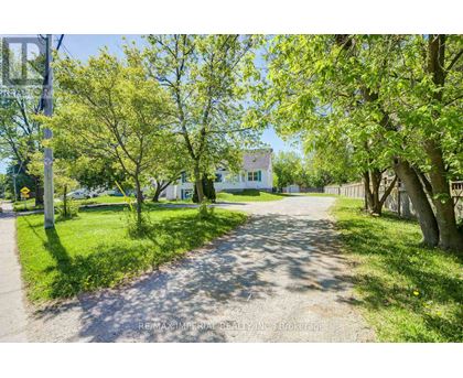 A tree-lined pathway leads to a white house.